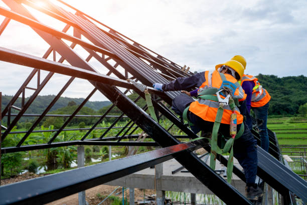Best Metal Roofing Contractor  in Dasher, GA