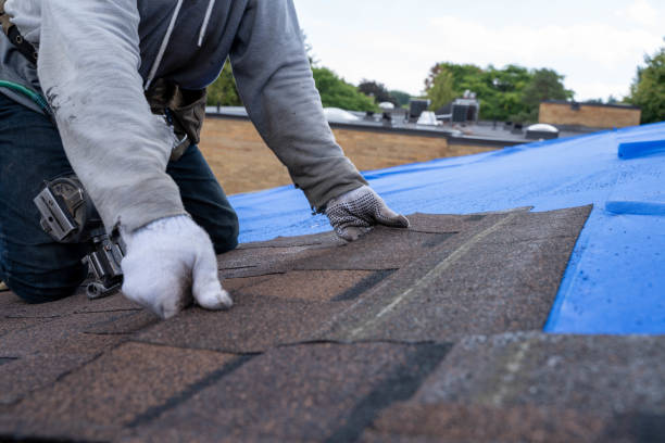 Best Emergency Roof Repair  in Dasher, GA