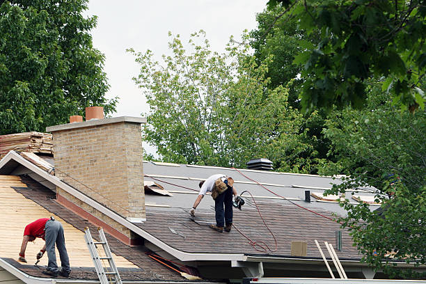 Best Roof Maintenance Services  in Dasher, GA