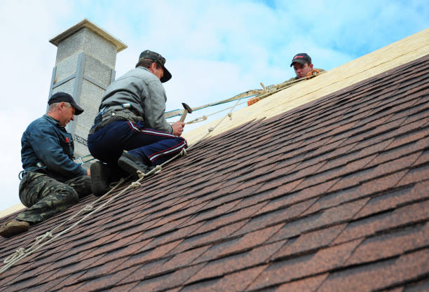 Best Best Roofing Contractors  in Dasher, GA