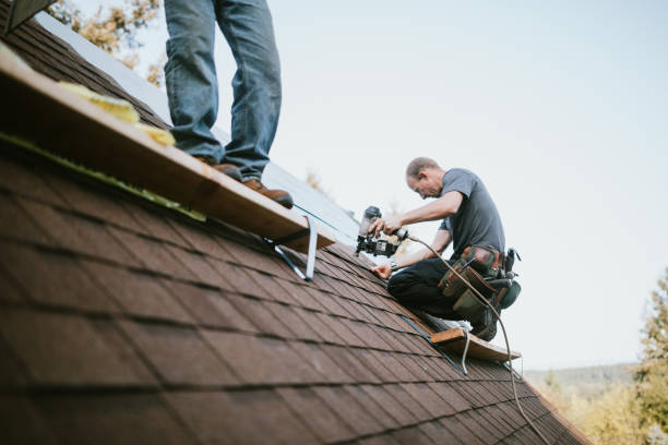 Gutter Installation and Roofing in Dasher, GA
