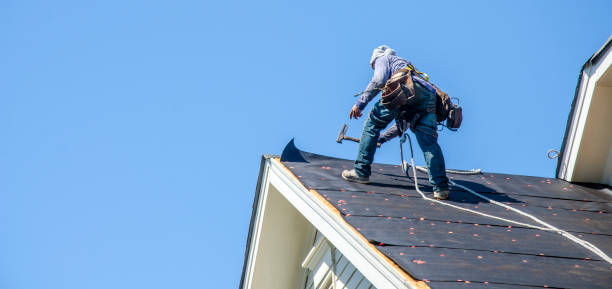 Best Gutter Installation and Roofing  in Dasher, GA